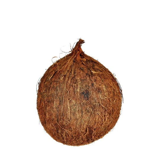 Kokosov oreh, cena za kos