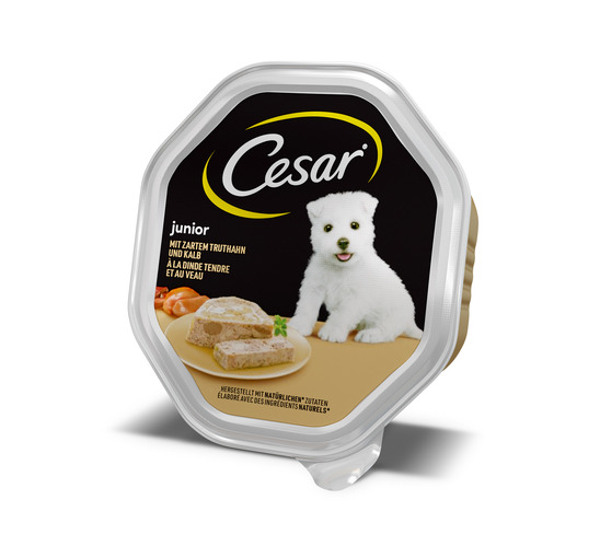 Hrana za pse Junior, puran in teletina, Cesar, 150 g