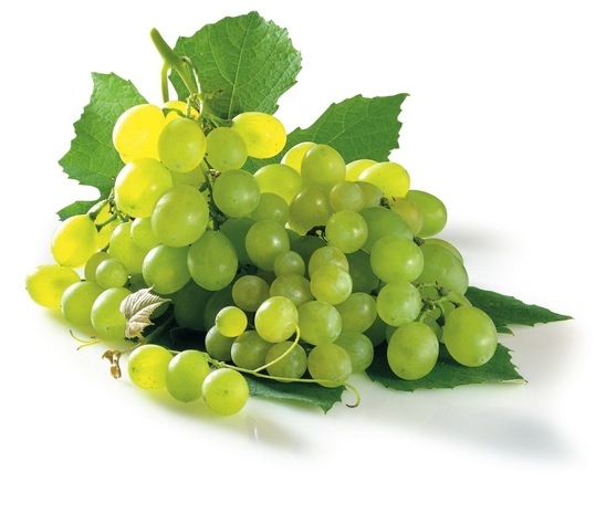 Namizno belo grozdje Victoria, cena za kg