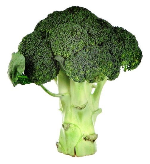 Bio brokoli, Bio zone, cena za kos