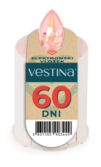 Elektronski vložek, Vestina, 60 dni