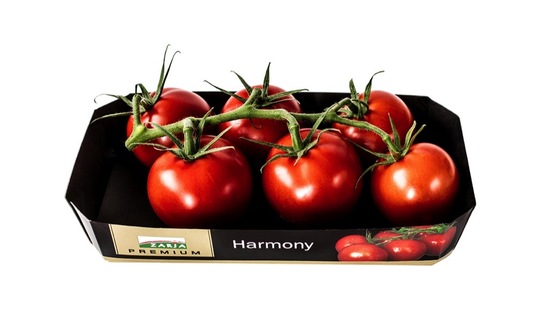 Paradižnik Harmony, Zarja, pakirano, 500 g
